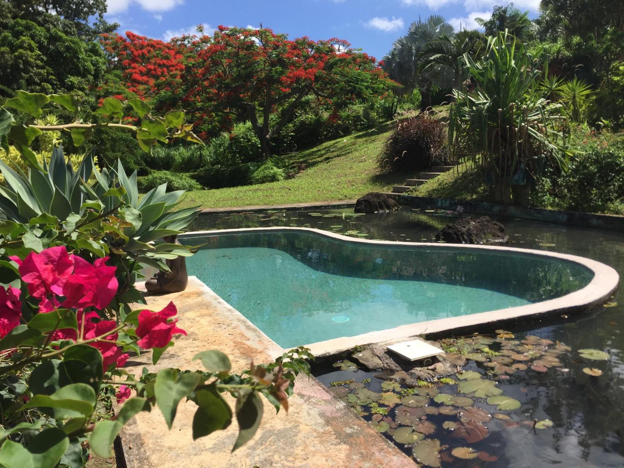 Tropicangel Ecolodge De Charme Pointe-Noire Exteriér fotografie